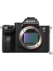 Sony Alpha 7 III Body leasen